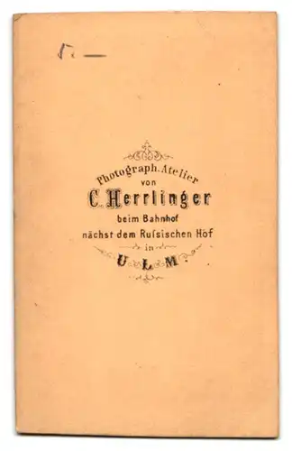 Fotografie C. Herrlinger, Ulm, Junge Dame mit Kragenbrosche