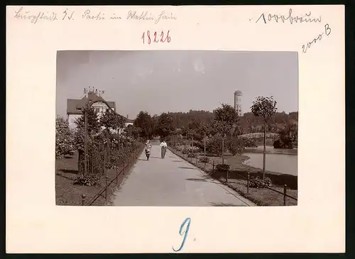 Fotografie Brück & Sohn Meissen, Ansicht Burgstädt i. Sa., Partie im Wettinhain mit Blick auf den Wasserturm