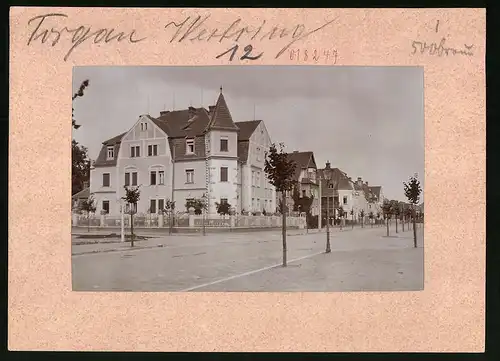 Fotografie Brück & Sohn Meissen, Ansicht Torgau / Elbe, Westring Strasseneck mit Wohnhaus