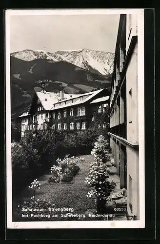 AK Puchberg am Schneeberg, Sanatorium Strengberg