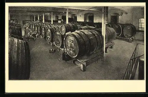 AK Freyburg a. U., Sektkellerei mit Fässern