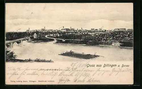 AK Dillingen a. D., Panorama mit Donaubrücke