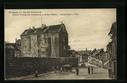 Künstler-AK Otto Thomasczek: Langensalza /Th., Schloss Triburg mit Umgebung und wildem Graben