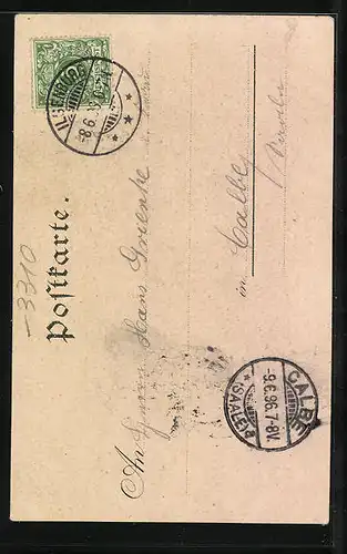 Lithographie Ilsenburg /Harz, Gasthof Prinzess Ilse, Ilsestein, Ilsefälle