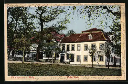 AK Mühlhausen i. Thür., Restaurant Weisses Haus