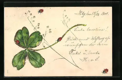 Künstler-AK Kleeblatt mit Marienkäfern