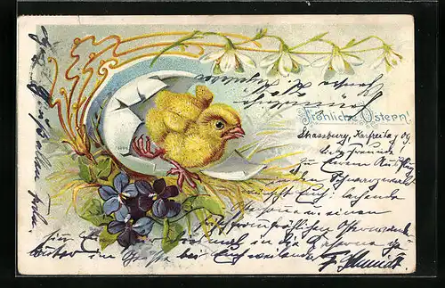 Künstler-AK Geschlüpftes Osterküken mit Veilchen