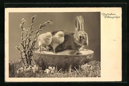 AK Osterhase neben Küken im Körbchen