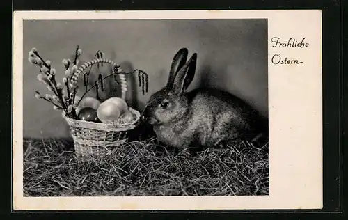 AK Fröhliche Ostern, Osterhase neben Körbchen mit Eiern