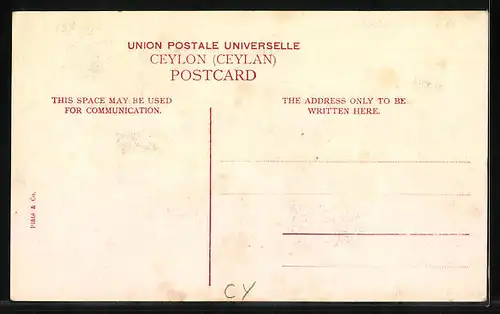 AK Pettah, Pettah Market