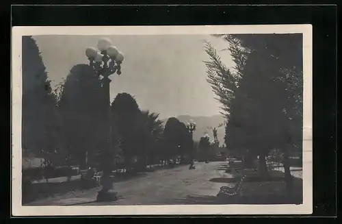 AK Cochabamba, Parkallee mit Denkmal