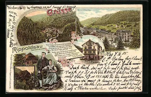 Lithographie Rippoldsau /Bad. Schwarzwald, Ortsansicht mit Mineral- und Moorbad
