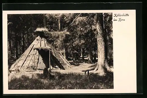 AK Köhlerhütte im Harz, Forstwirtschaft