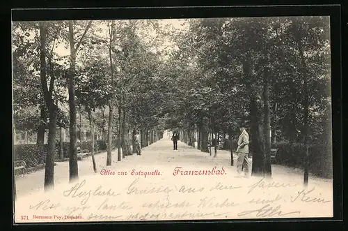 AK Franzensbad, Allee zur Salzquelle