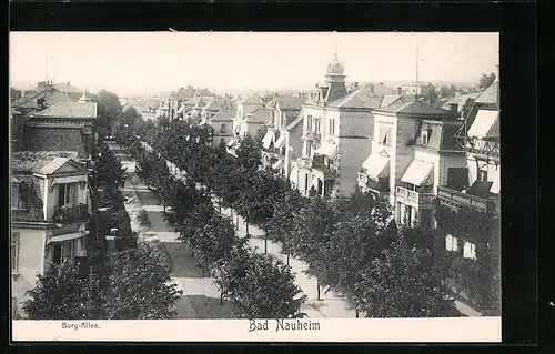 AK Bad Nauheim, Burgallee-Strasse aus der Vogelschau