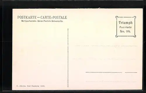 AK Bad Nauheim, Burgallee-Strasse aus der Vogelschau