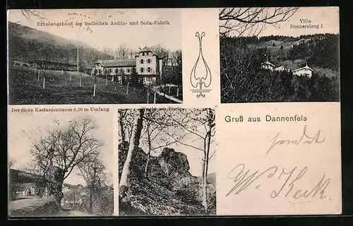 AK Dannenfels, Erholungshaus der badischen Anilin- und Soda-Fabrik, Villa Donnersberg I