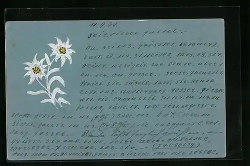 Präge-AK Schön blühendes Edelweiss