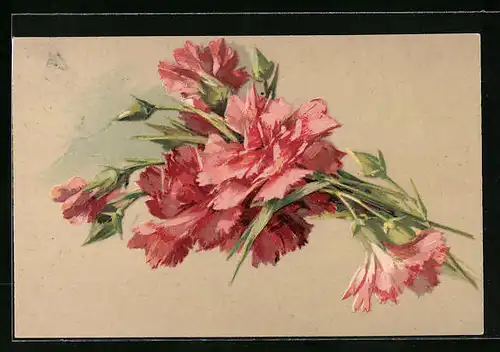 Präge-AK Schöne Nelken mit Blattgrün