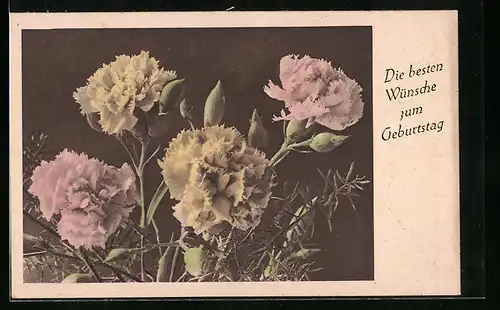 AK Schön blühende Nelken zum Geburtstag