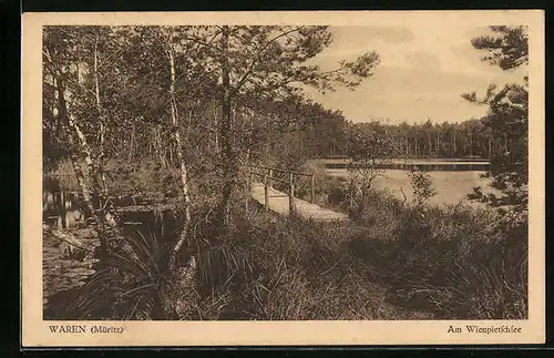 AK Waren / Müritz, am Wienpietschsee