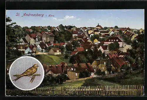 AK St. Andreasberg i. Harz, Gesamtansicht, Portrait eines Goldammers