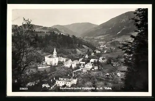 AK Opponitz a. d. Ybbs, Panoramablick vom Berg