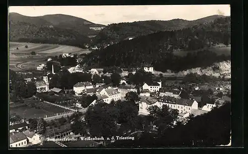 AK Weissenbach a. d. Triesting, Totalansicht