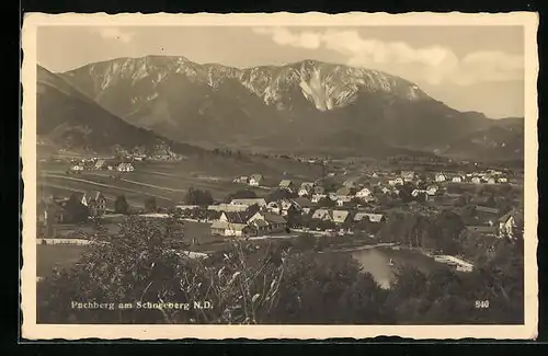 AK Puchberg am Schneeberg, Panorama mit Gebirgswand