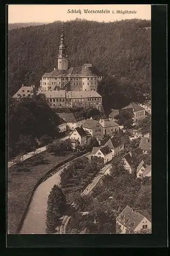 AK Weesenstein, Blick auf das Schloss über dem Müglitztale