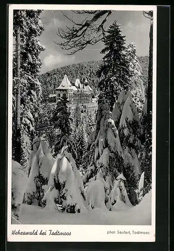 AK Todtmoos, im eingeschneiten Wehrawald