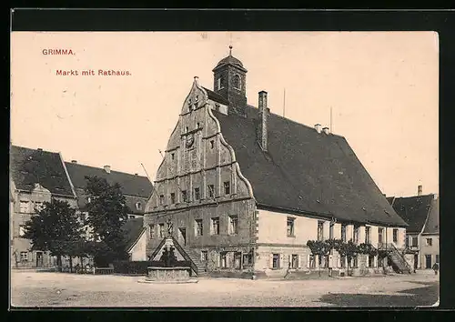 AK Grimma, Markt mit Rathaus