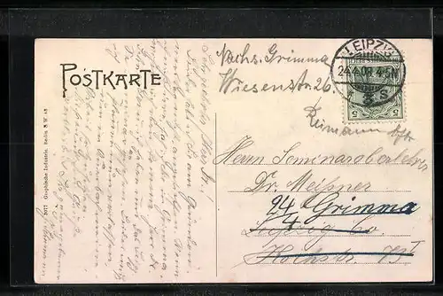 AK Grimma, Ortsansicht aus der Vogelschau