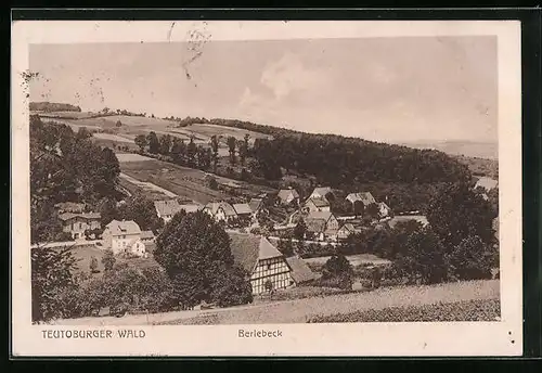 AK Berlebeck, Ortsansicht aus der Vogelschau