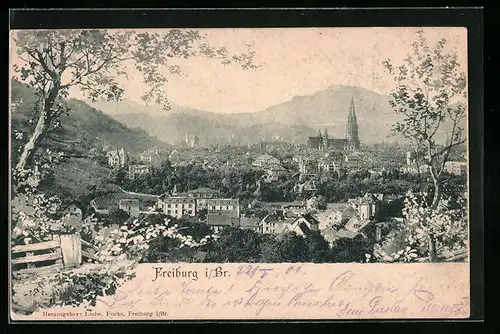 AK Freiburg i. Br., Gesamtansicht