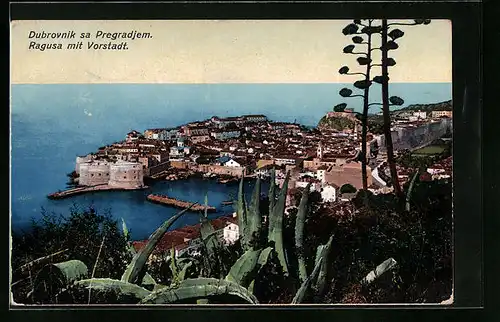 AK Dubrovnik, Ortsansicht mit Vorstadt