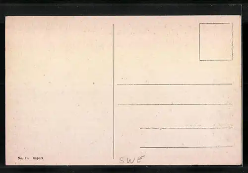 AK Saltsjöbaden, Panorama