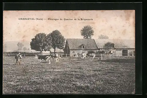 AK Charleval, Paturages du Quartier de la Briqueterie