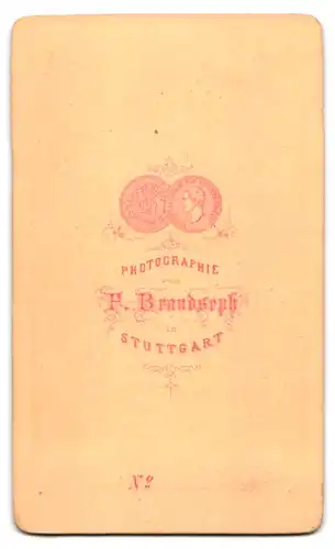 Fotografie F. Brandseph, Stuttgart, Junge Dame im Kleid mit einem Korb