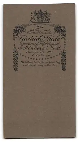 Fotografie Friedrich Thiele, Schönberg i. Meckl., Siemzerstr. 183 Ecke Neuestr., Bürgerliche Dame im Kleid