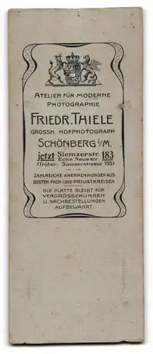 Fotografie Friedr. Thiele, Schönberg i. M., Siemzerstr. 183 Ecke Neuestr., Junger Herr im Anzug mit Krawatte