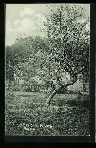 AK Meissen, Gasthof am Fusse des Berges mit der Dampfschiffstation, Schloss Scharfenberg