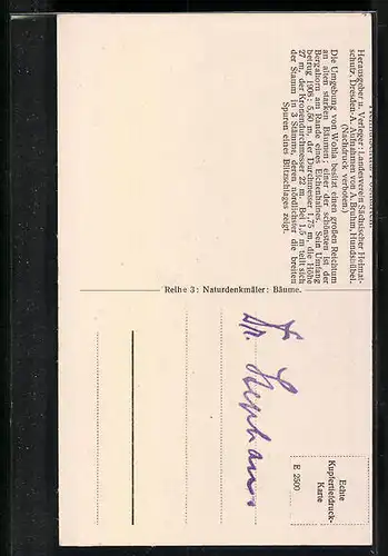 AK Wohla / Elstra, Partie am Bergshorn