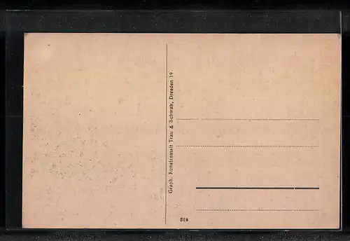 AK Reinhardtsdorf / Sächs. Schweiz, Ortsansicht aus der Vogelschau