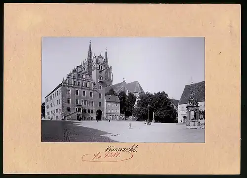 Fotografie Brück & Sohn Meissen, Ansicht Oschatz, Rathaus & Kirche, Gasthaus am Neumarkt