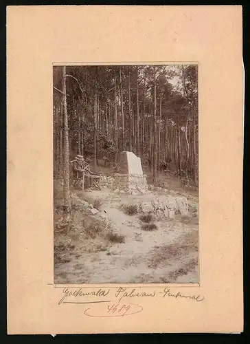 Fotografie Brück & Sohn Meissen, Ansicht Diesbar, Fabian-Denkmal im Golkwald