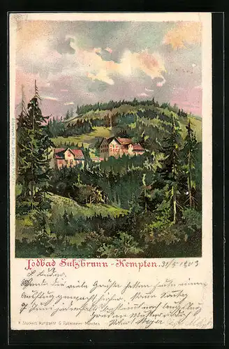 Künstler-AK Sulzbrunn /Kempten, Häuser inmitten des Waldes