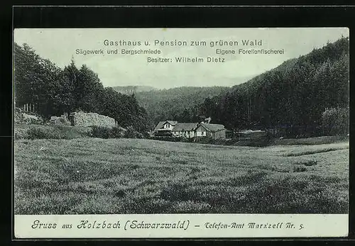 AK Holzbach / Schwarzwald, Gasthaus Zum grünen Wald, Sägewerk und Forellenfischerei