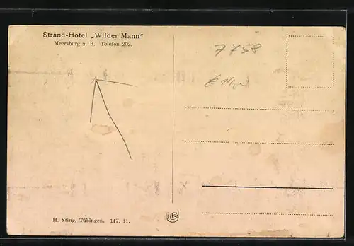 Künstler-AK Meersburg a. B., Strandhotel zum wilden Mann