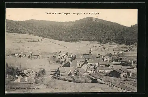 AK Celle, Vue generale de Luvigny